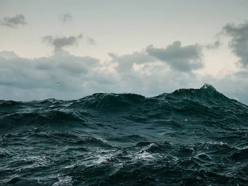 In this hilarious blog post, the team at ContentCrafter Inc. recounts their unexpected adventure in the Australian outback, where a curious kangaroo named Joey becomes their impromptu fitness coach.